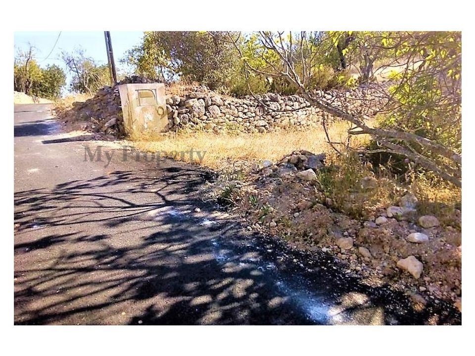 Ruinere i Paderne, Faro - foto 4