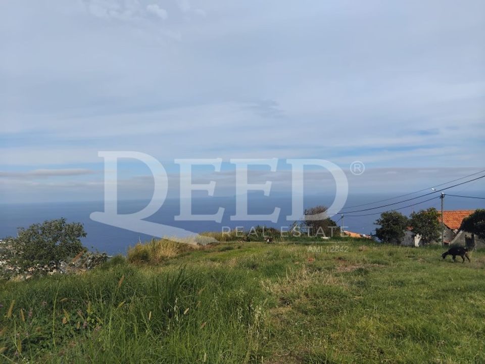 Helårsgrund i Santa Cruz, Madeira - foto 1
