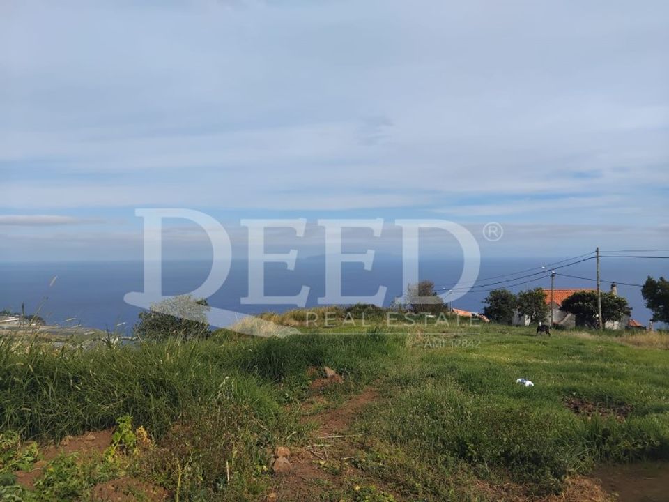 Helårsgrund i Santa Cruz, Madeira - foto 3