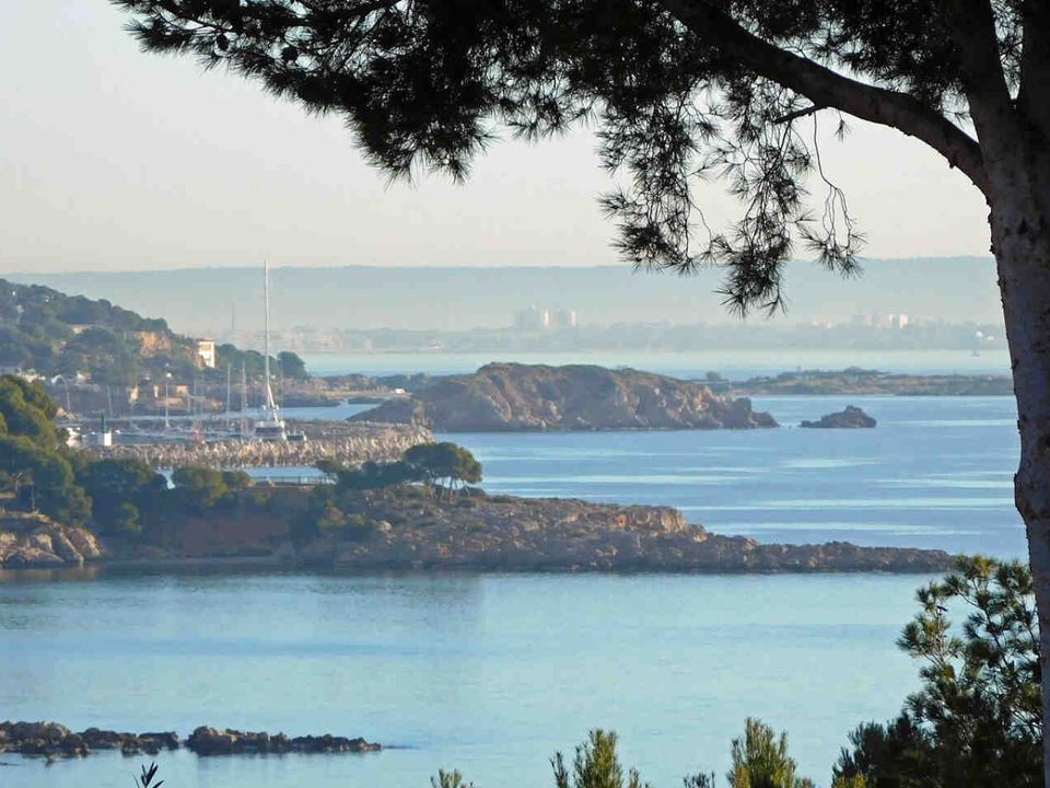 Helårsgrund i Palmanova, Mallorca - foto 2
