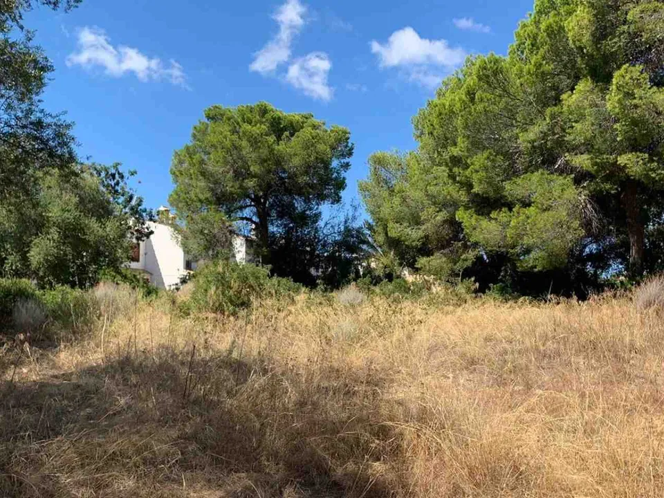 Helårsgrund i Palmanova, Mallorca - foto 3