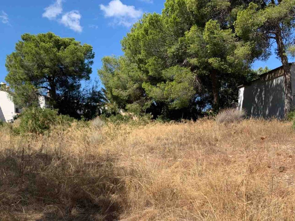 Helårsgrund i Palmanova, Mallorca - foto 5