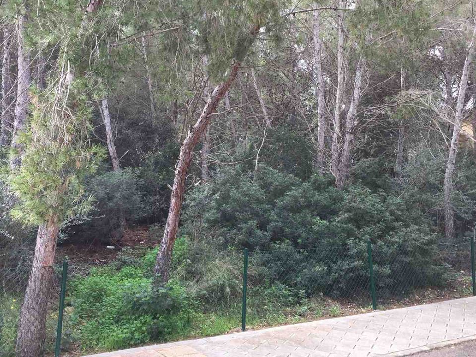 Helårsgrund i Sol De Mallorca, Mallorca - foto 1