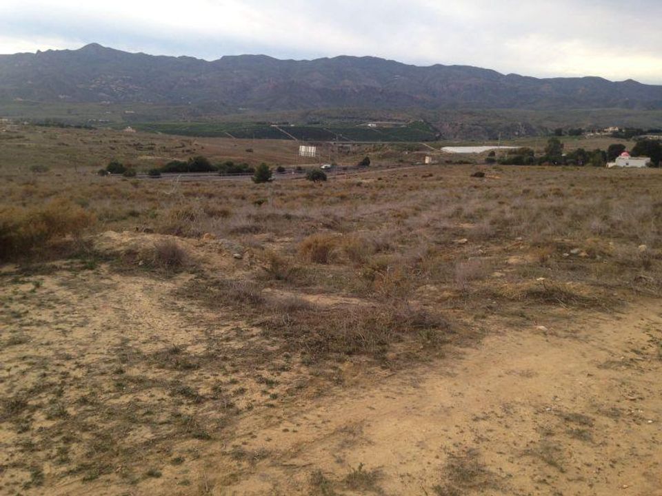 Helårsgrund i Los Gallardos, Almeria - foto 4