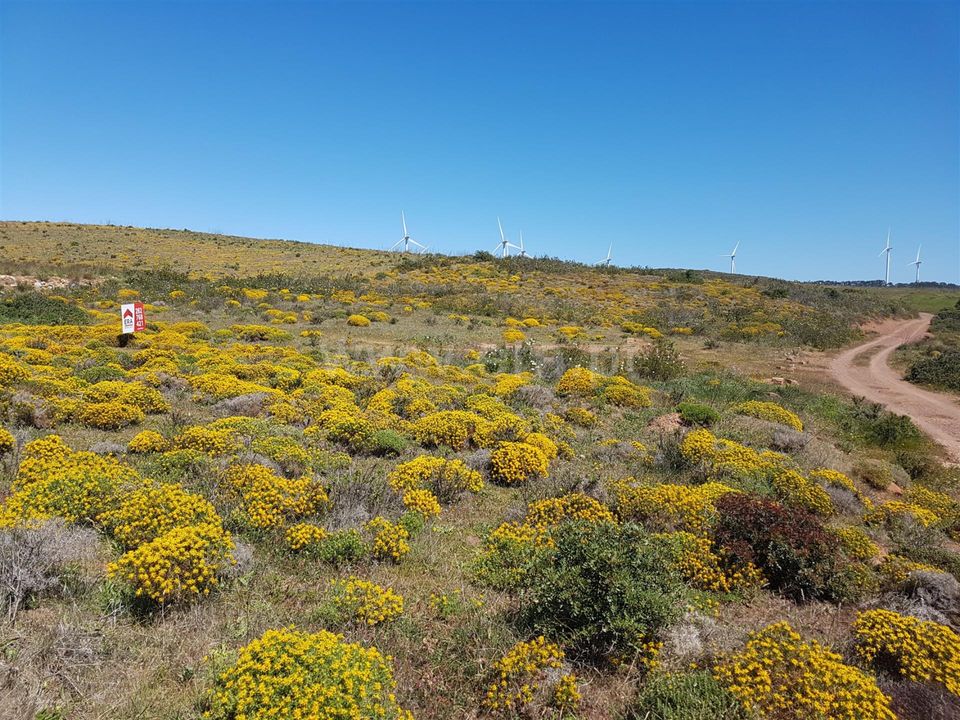 Helårsgrund i Sagres, Faro - foto 1