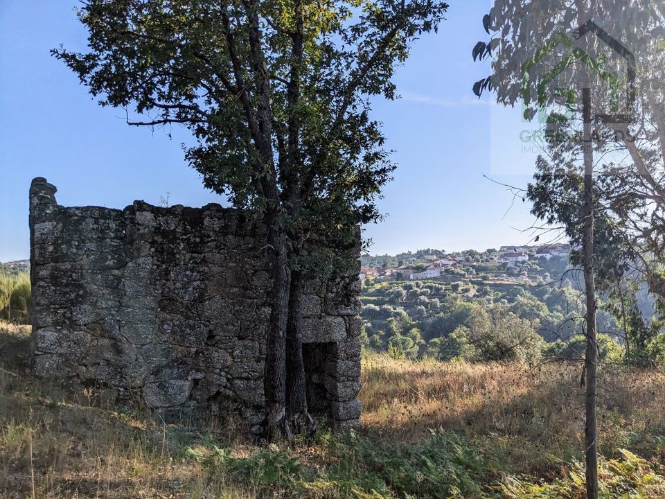 Villa i Tabua, Coimbra - foto 1