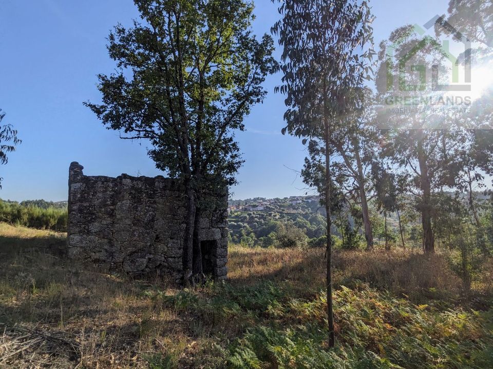 Villa i Tabua, Coimbra - foto 2