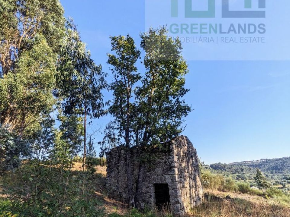 Villa i Tabua, Coimbra - foto 3