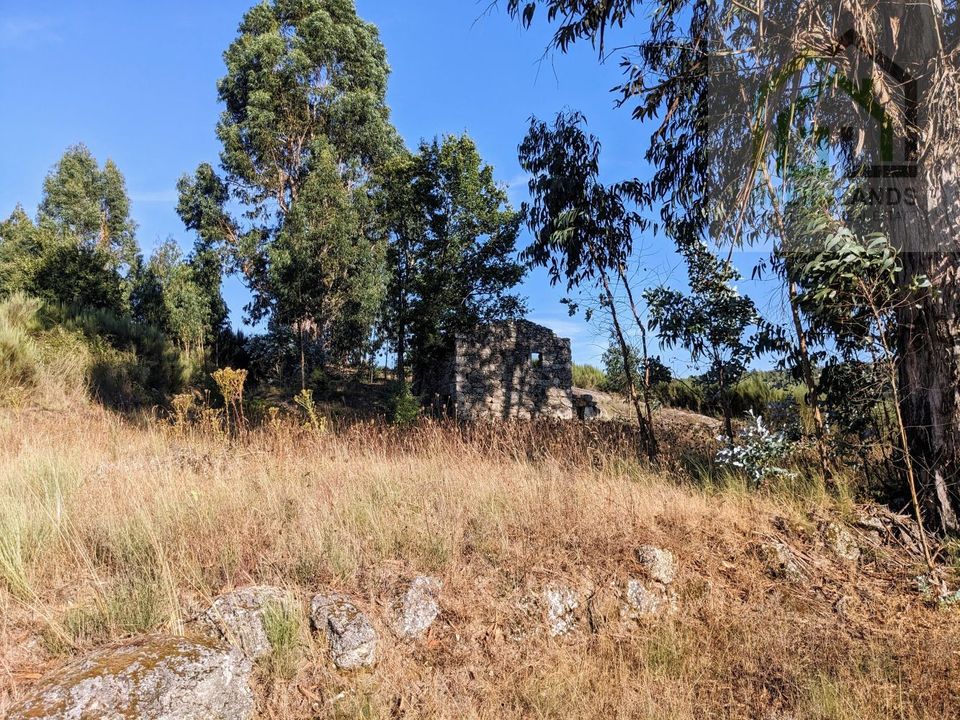 Villa i Tabua, Coimbra - foto 4