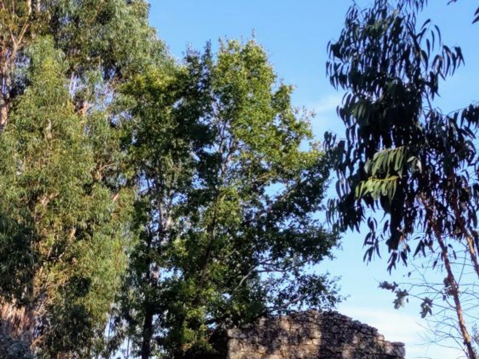 Villa i Tabua, Coimbra - foto 5