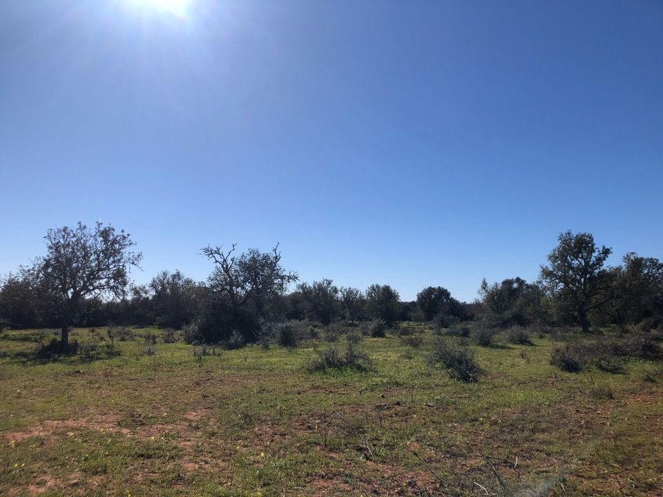 Helårsgrund i Porreres, Mallorca - foto 2