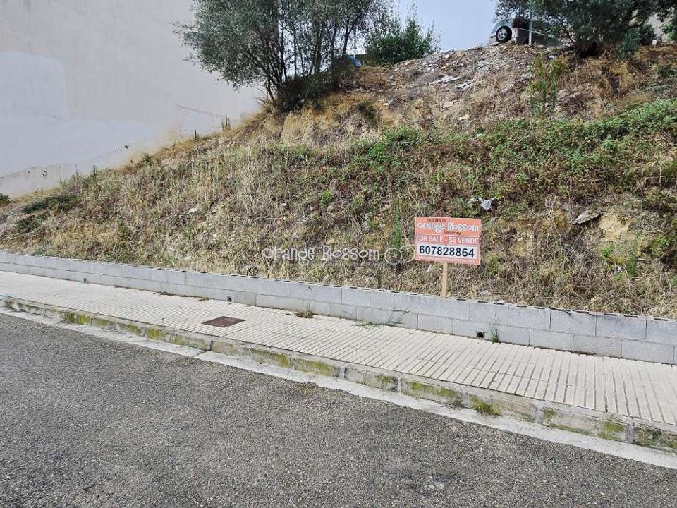 Helårsgrund i Villalonga, Valencia - foto 5