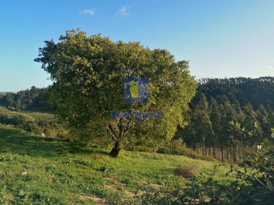 Helårsgrund i Caldas da Rainha, Leiria - foto 3