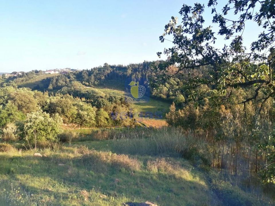 Helårsgrund i Caldas da Rainha, Leiria - foto 4