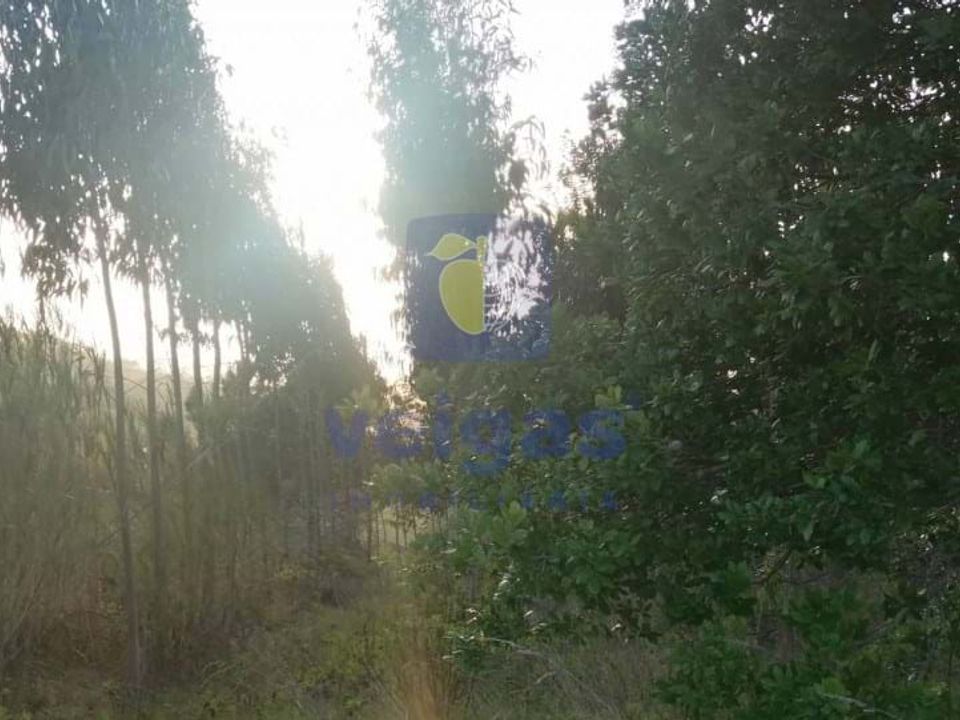 Helårsgrund i Caldas da Rainha, Leiria - foto 2