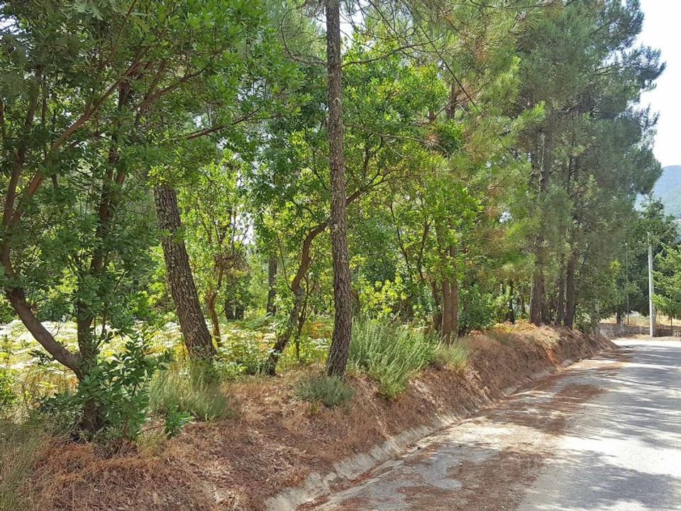 Helårsgrund i Lalim, Viseu - foto 1