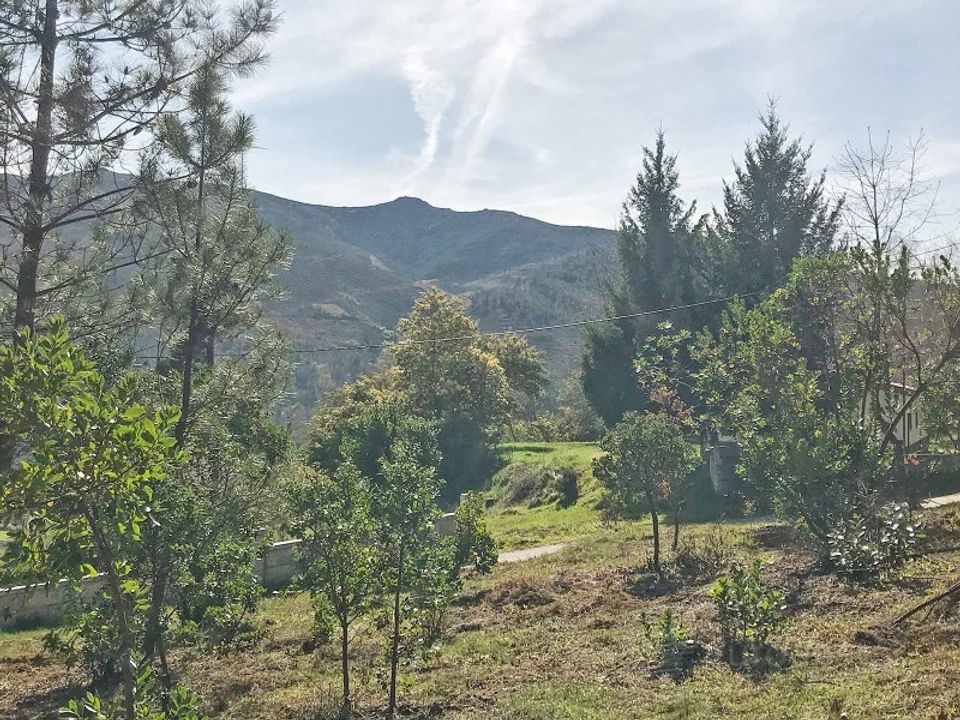 Helårsgrund i Lalim, Viseu - foto 4