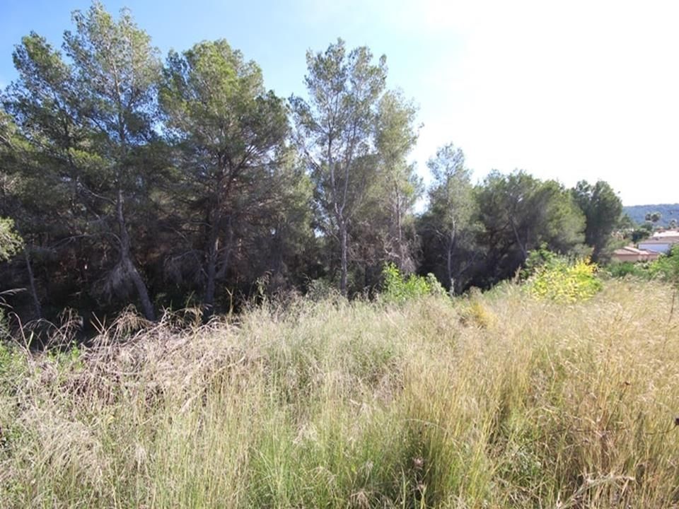 Tomt i Javea, Alicante - bilde 2