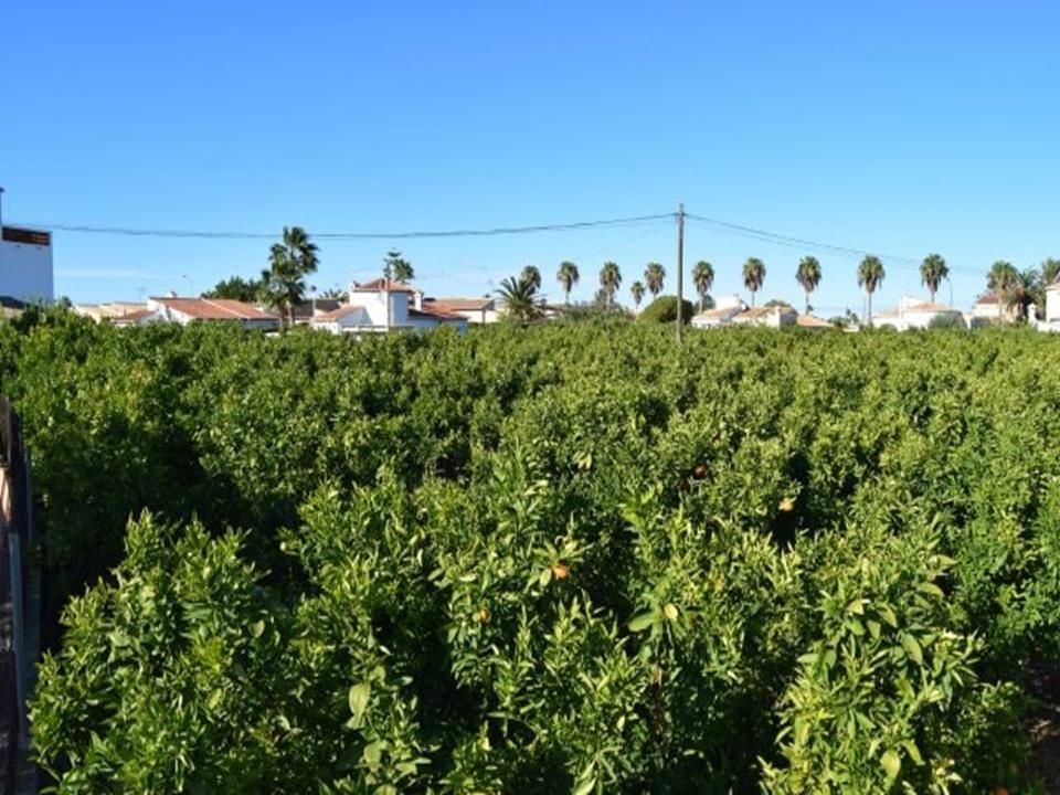 Tomt i Els Poblets, Alicante - bilde 1