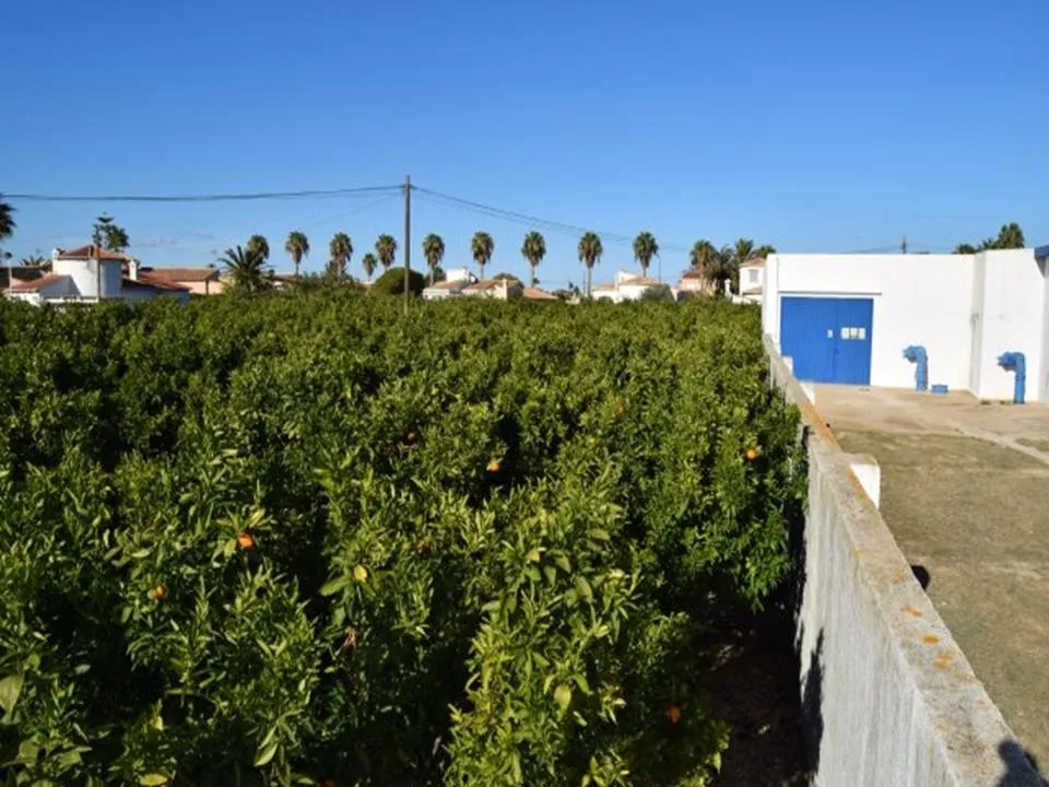 Tomt i Els Poblets, Alicante - bilde 2