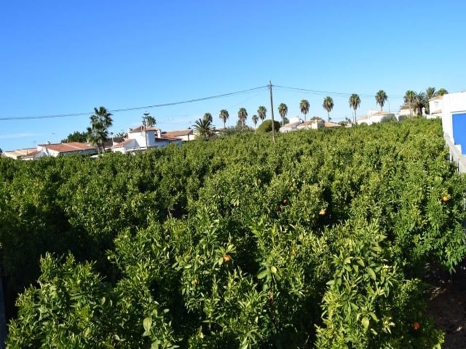 Tomt i Els Poblets, Alicante - bilde 3