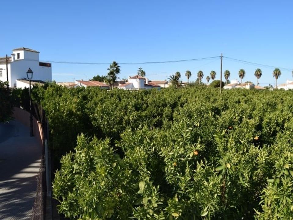 Tomt i Els Poblets, Alicante - bilde 4