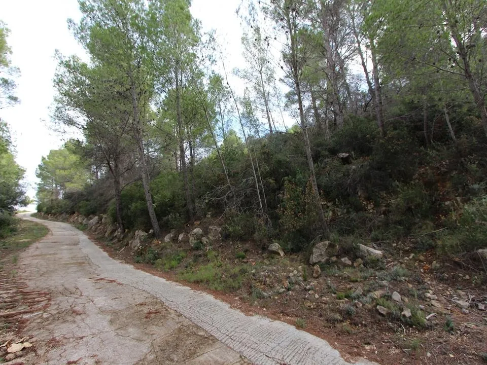 Helårsgrund i Benigembla, Alicante - foto 2