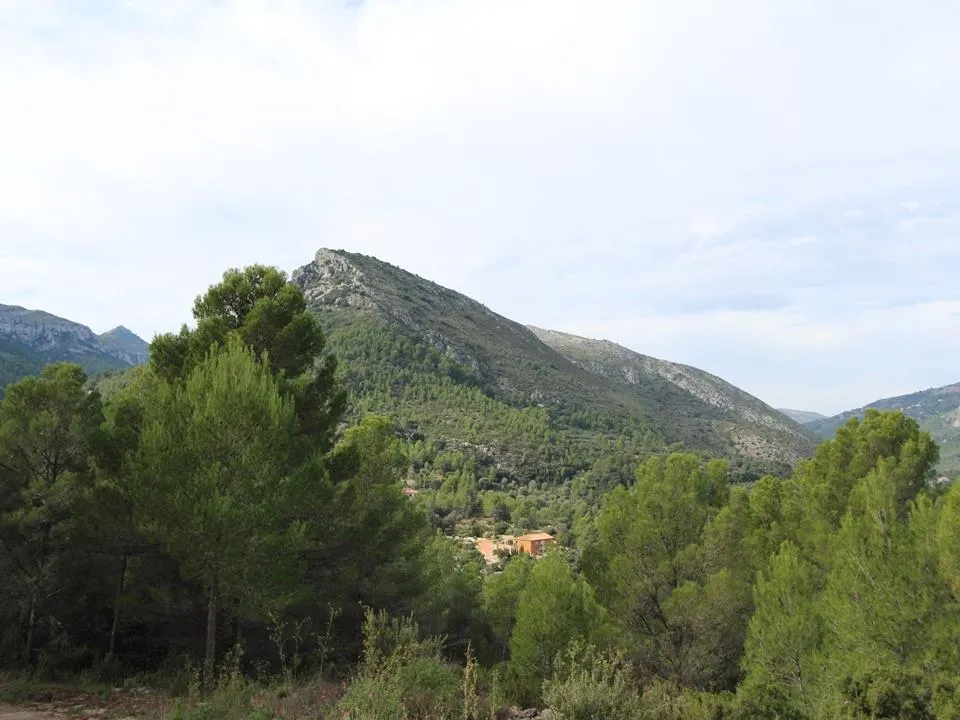 Helårsgrund i Benigembla, Alicante - foto 4