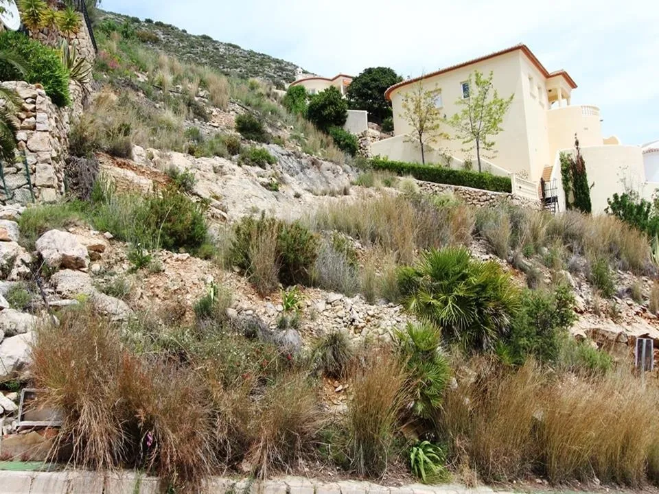 Helårsgrund i Jalon, Alicante - foto 2