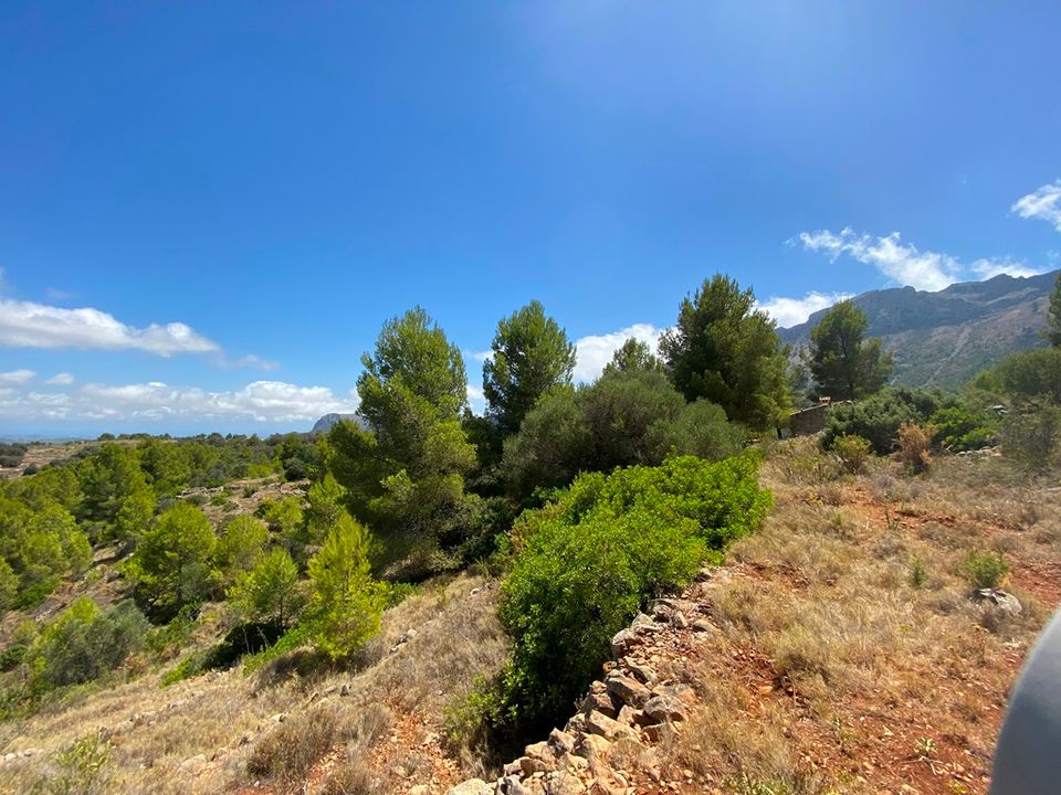 Helårsgrund i Jalon, Alicante - foto 2
