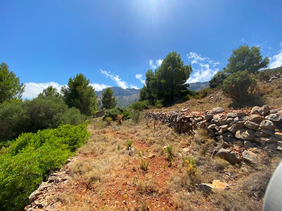 Helårsgrund i Jalon, Alicante - foto 3
