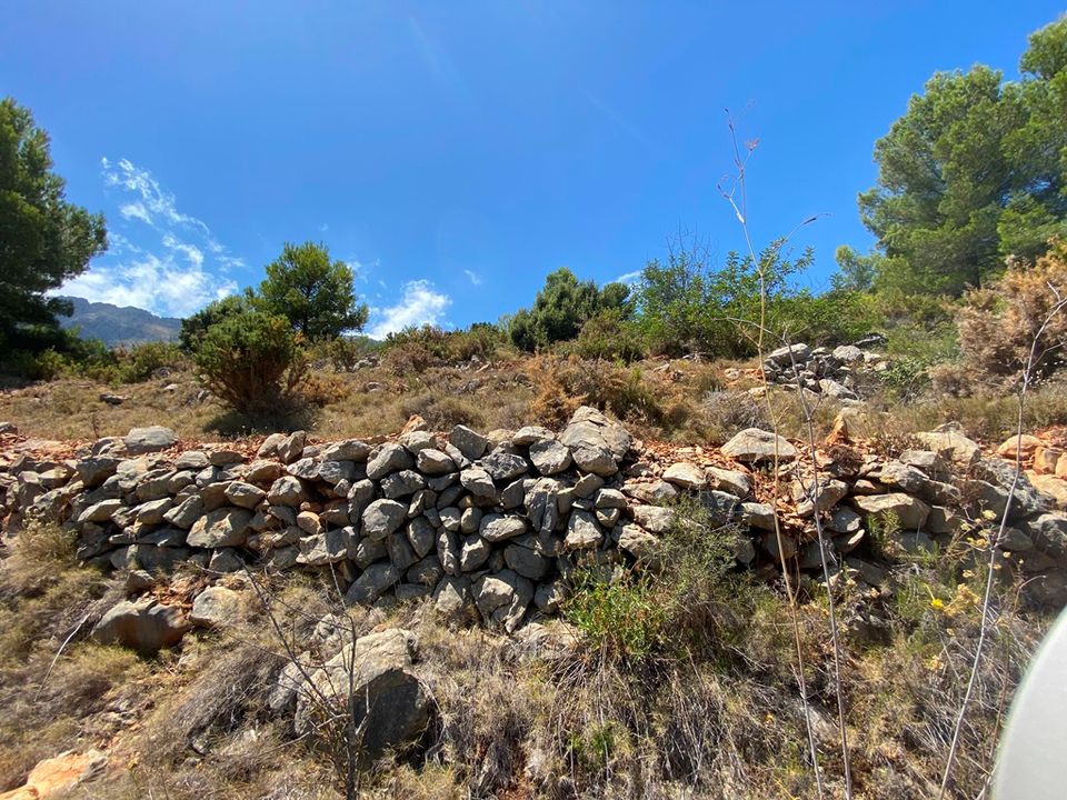Helårsgrund i Jalon, Alicante - foto 4