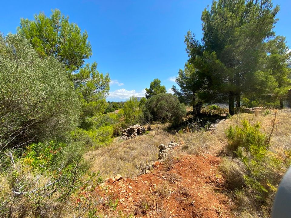 Helårsgrund i Jalon, Alicante - foto 5