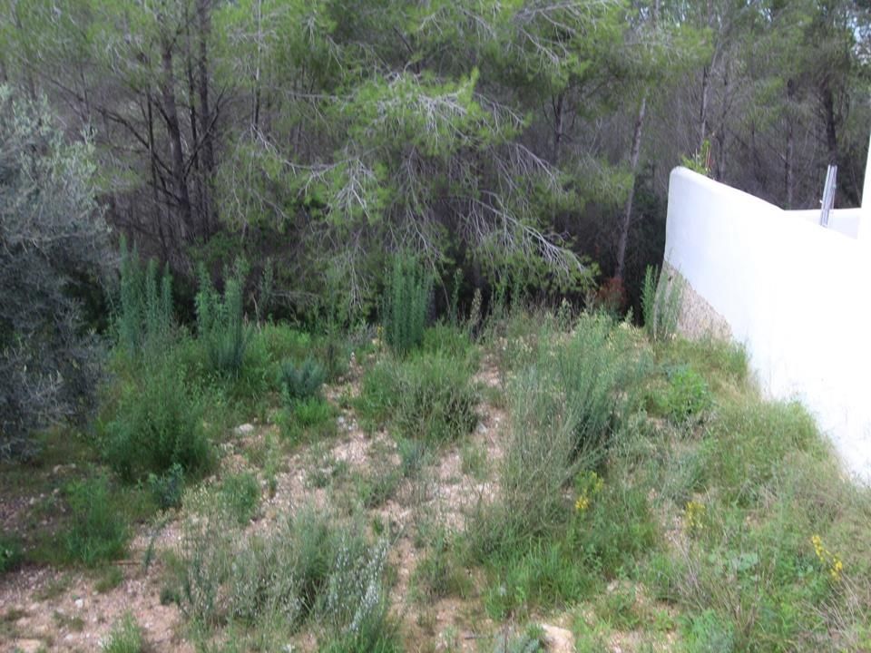 Helårsgrund i Moraira, Alicante - foto 4