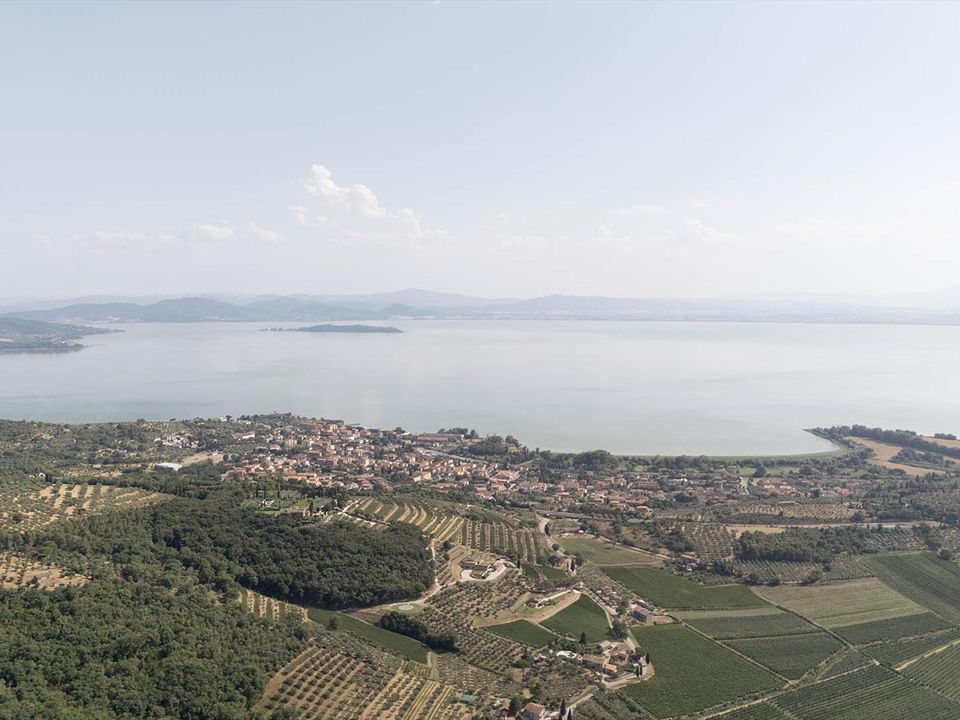 Farm hus i Passignano Sul Trasimeno, Perugia - foto 2