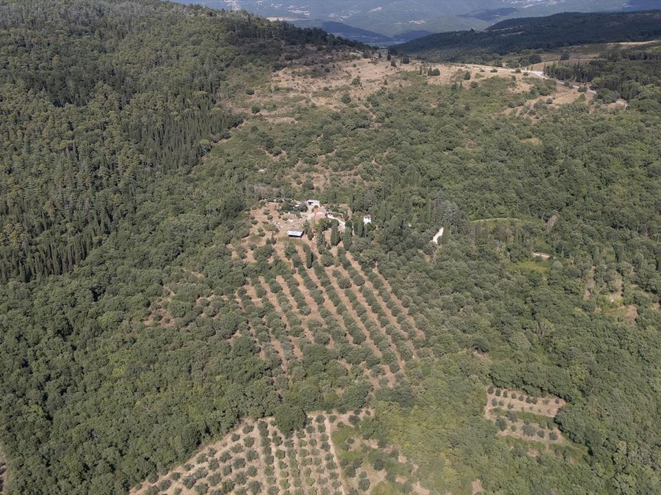 Farm hus i Passignano Sul Trasimeno, Perugia - foto 5