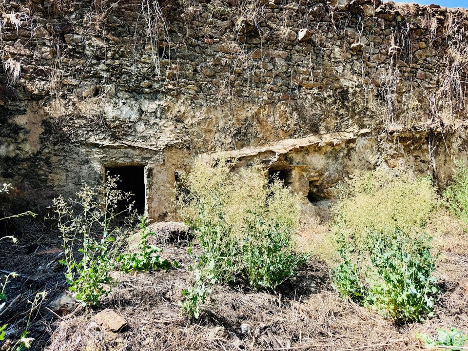 Helårsgrund i Sardoal, Santarem - foto 5