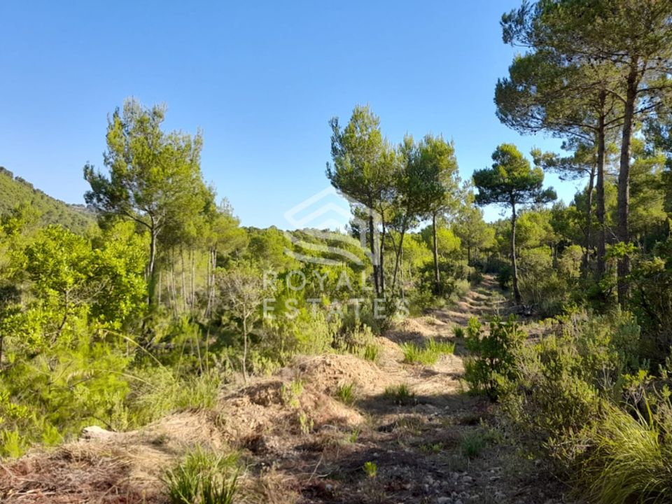 Villa i Santa Eulalia Del Rio, Ibiza - foto 3