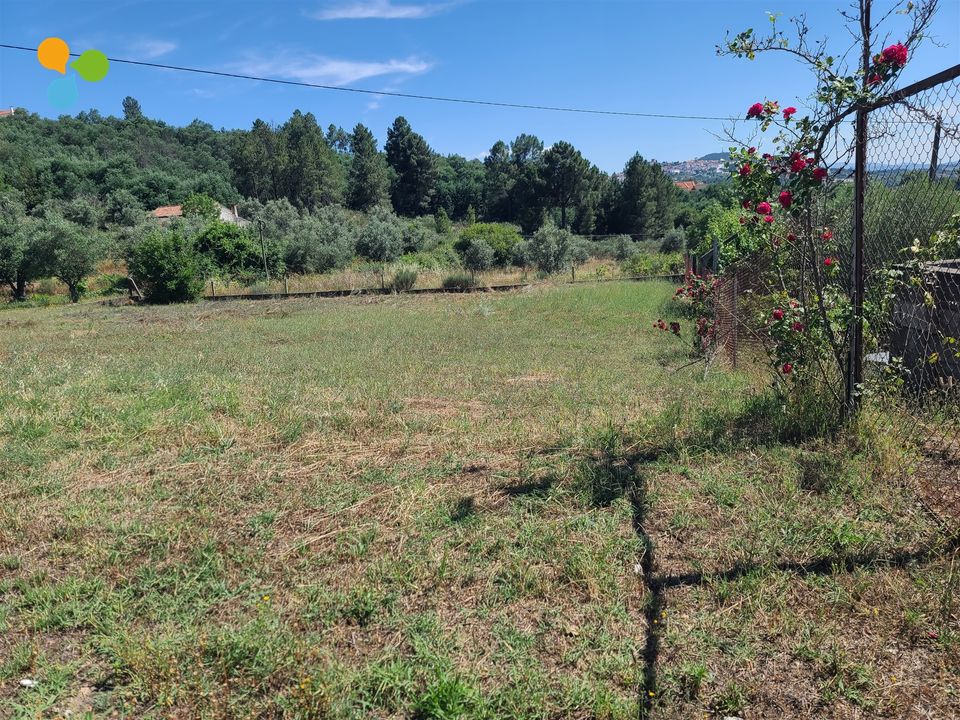 Helårsgrund i Belmonte, Castelo Branco - foto 5