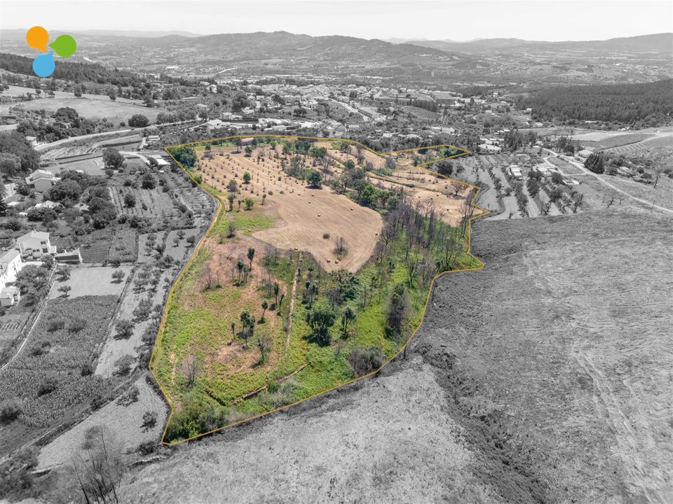 Fattoria Covilha, Castelo Branco - foto 1