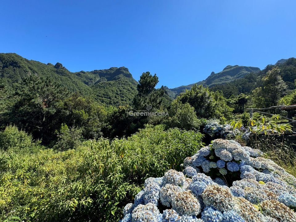 Helårsgrund i Sao Vincente, Madeira - foto 5