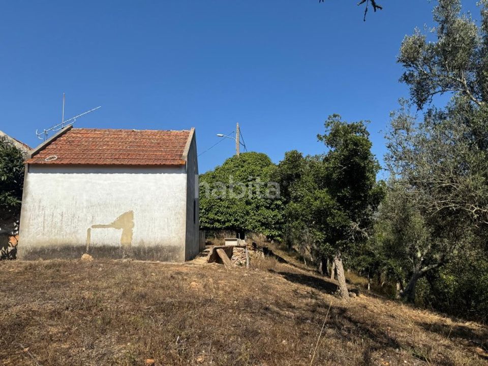 Farm i Aldeia de Sao Luis, Beja - foto 5