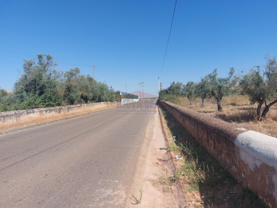 Helårsgrund i Bencatel, Evora - foto 3