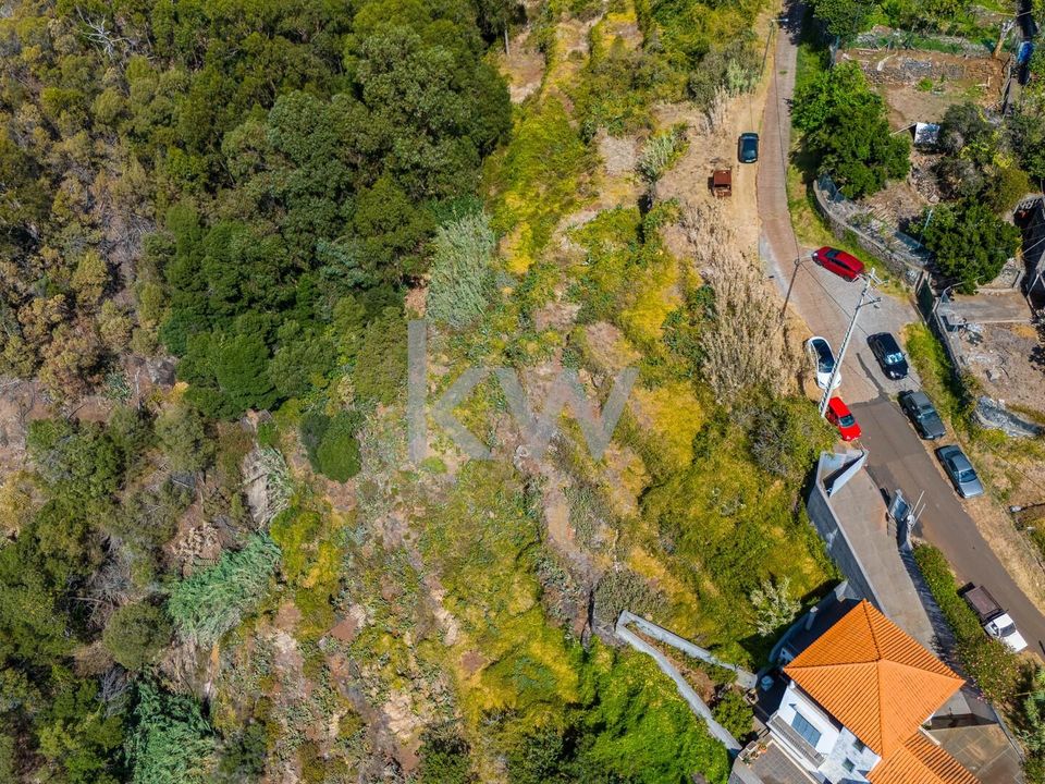 Helårsgrund i Santa Cruz, Madeira - foto 4