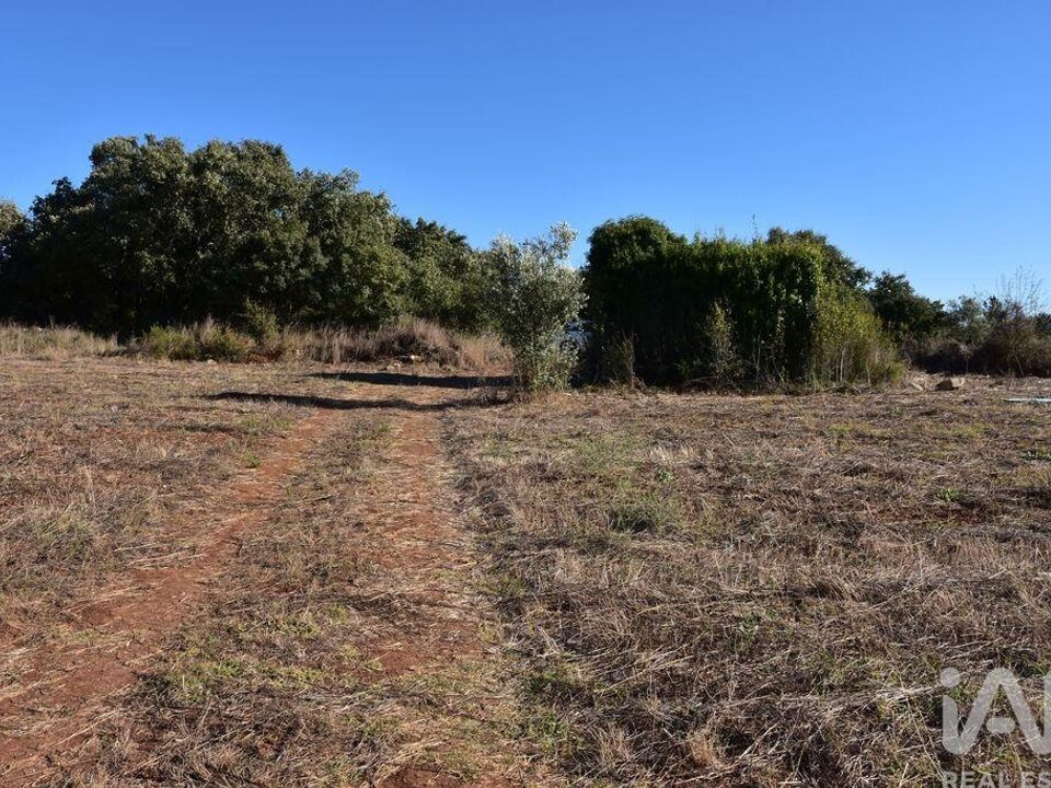 Helårsgrund i Ferreira do Zezere, Santarem - foto 1