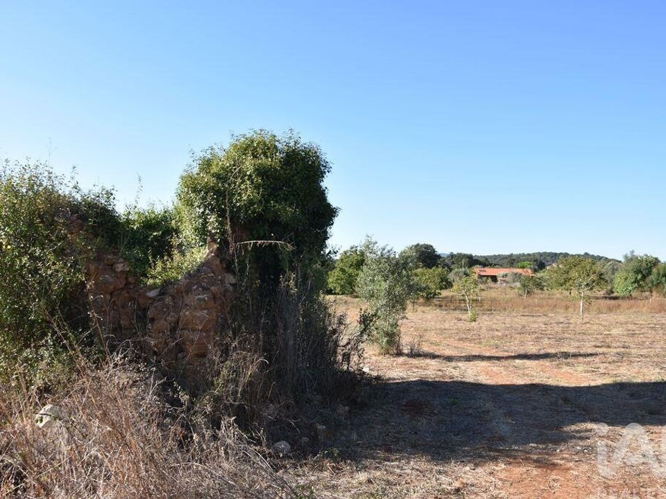 Helårsgrund i Ferreira do Zezere, Santarem - foto 4