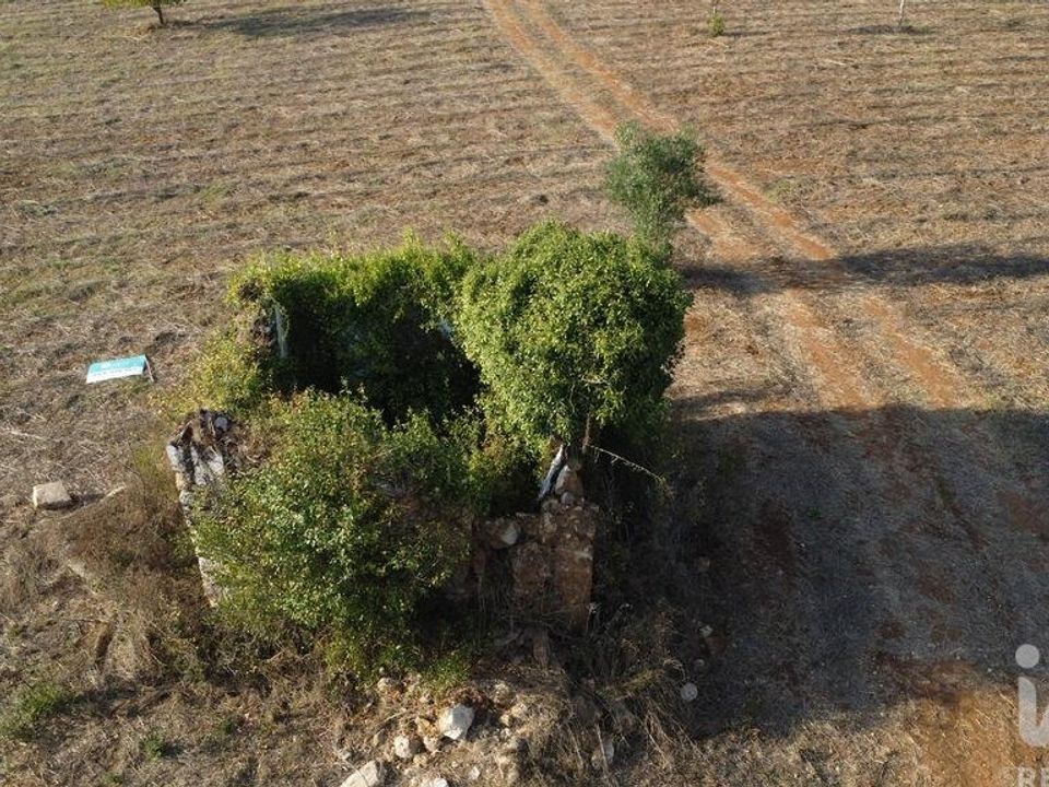 Helårsgrund i Ferreira do Zezere, Santarem - foto 2