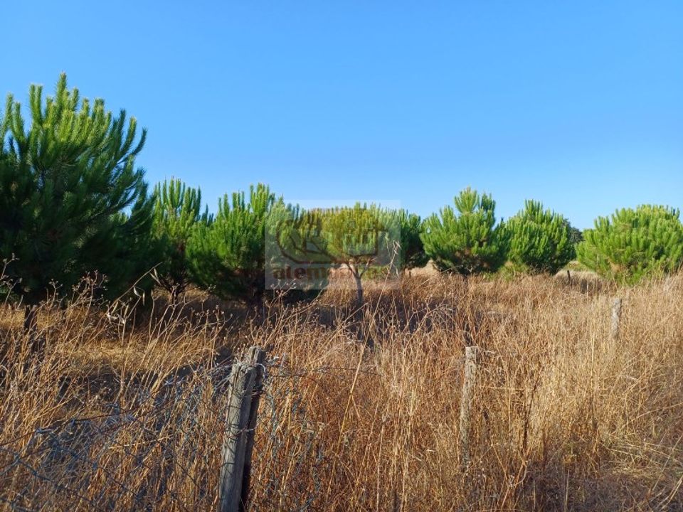 Erhvervsejendom i Torrao, Setubal - foto 2