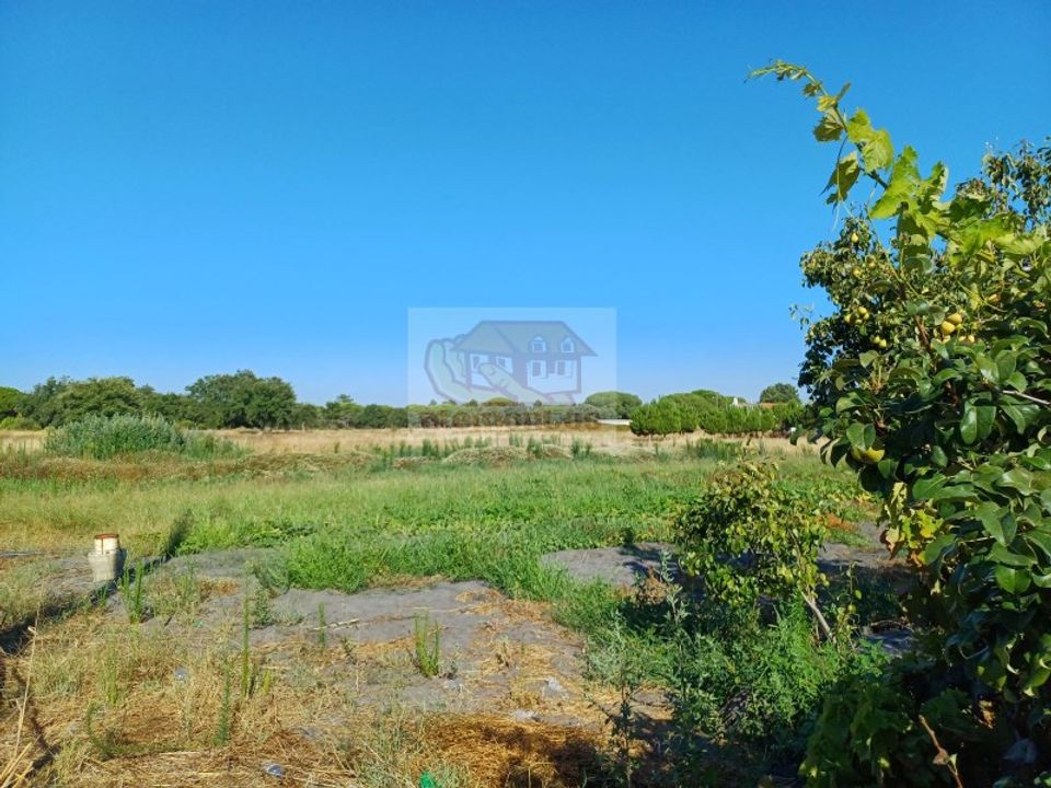 Erhvervsejendom i Torrao, Setubal - foto 3