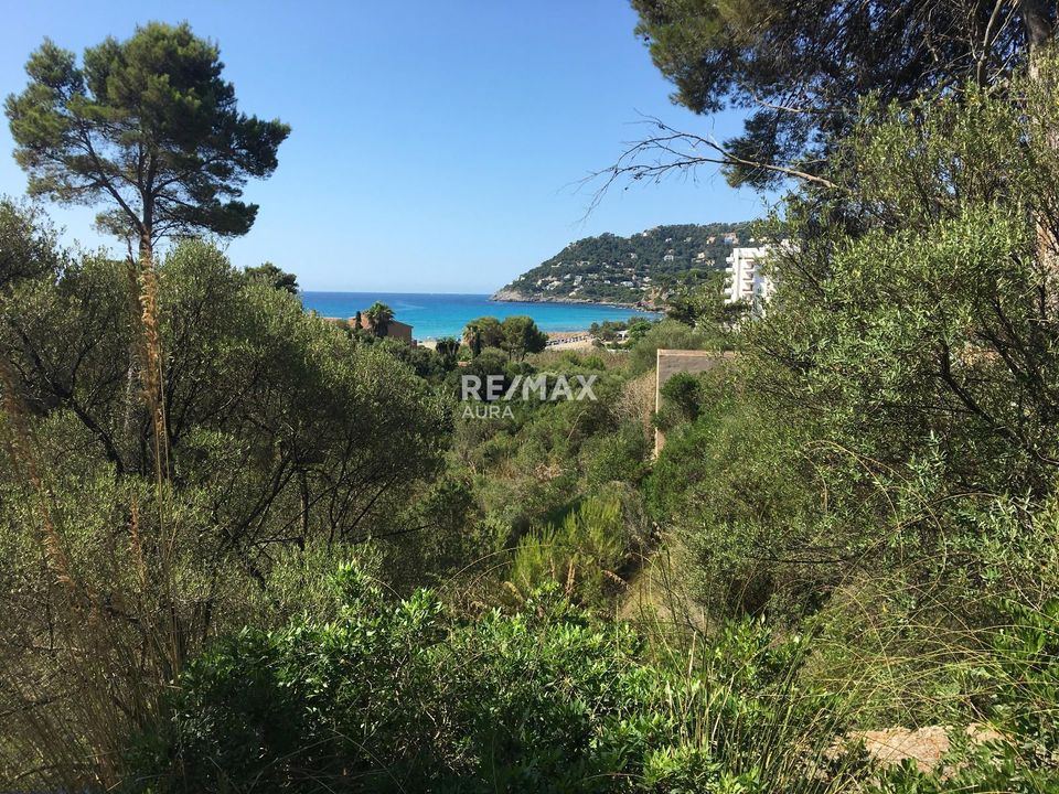 Finca i Canyamel, Mallorca - foto 1